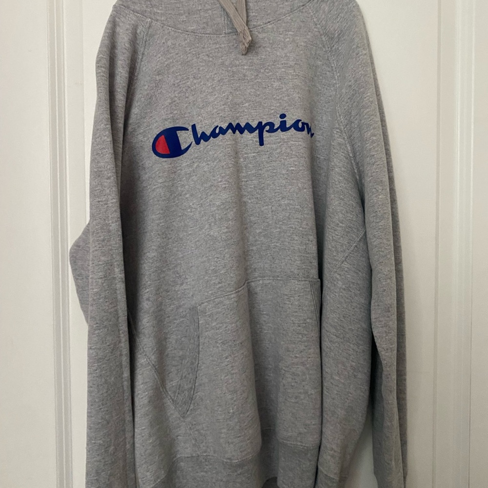 Champion Gray Men's Sweater